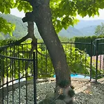 Viera Villa Buzet