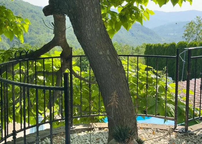 Viera Villa Buzet