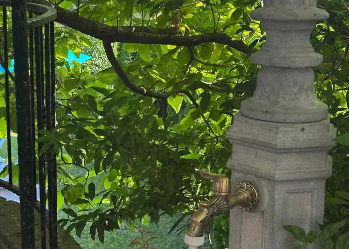 Viera